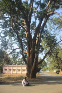 A villager whose son is an undertrial prisoner waits outside the Dantewada court. Photo credit: Chitrangada Choudhury