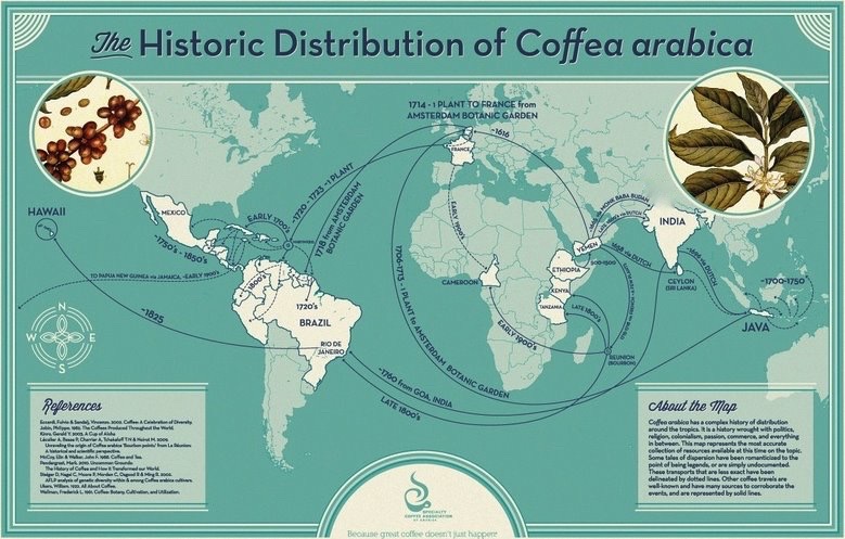 Historic Distribution of Coffea Arabica Map reprinted with permission from the Specialty Coffee Association of America.