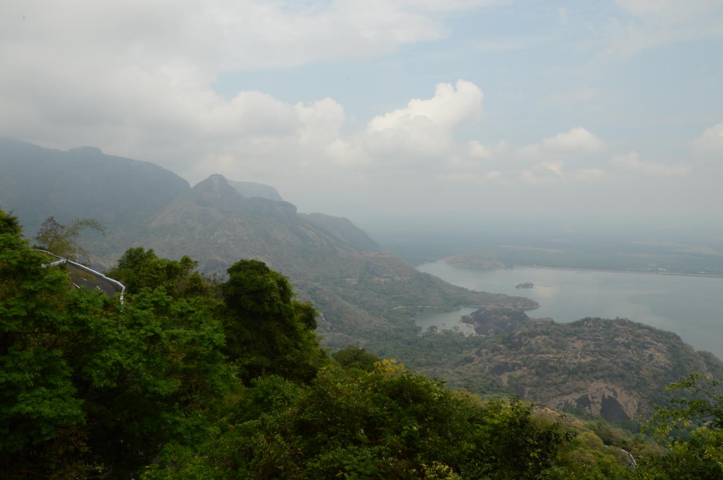 The Valparai landscape. Credit: Soumya Prasad