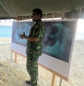 1921245_793671567327085_532346834_o