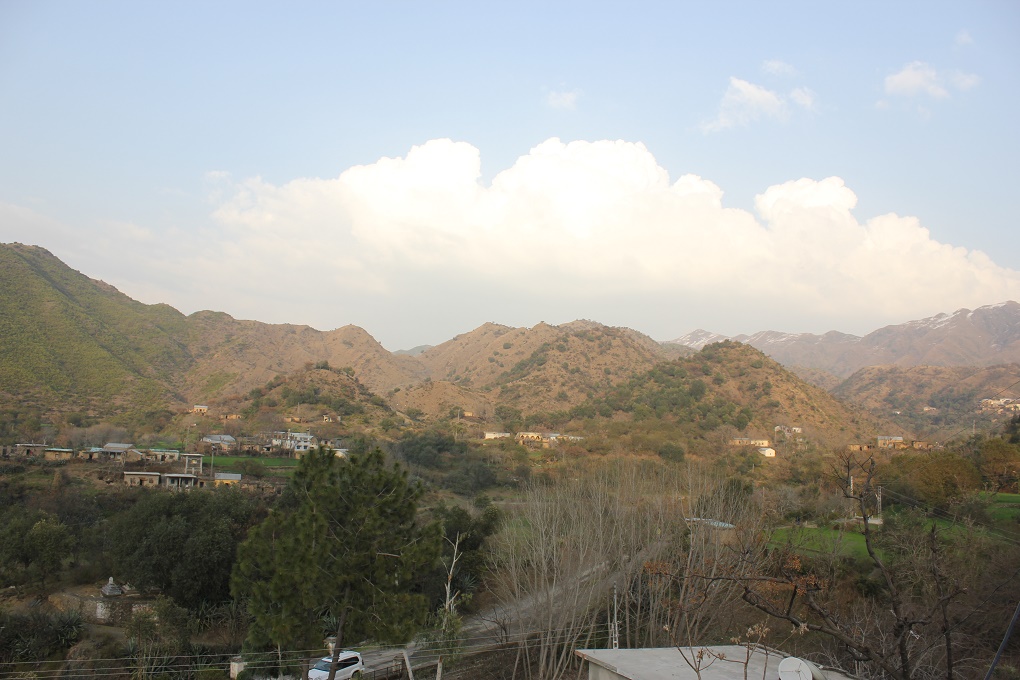 Plantation has taken place on the barren slopes of Karwala village in Haripur. Credit: Asim Ali/thethirdpole.net