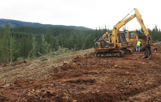 rebel groups threaten the logging industry in chile