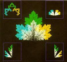 Maple and fern leaf generated with an iteration based computer model. Credit: Demko et al 1985