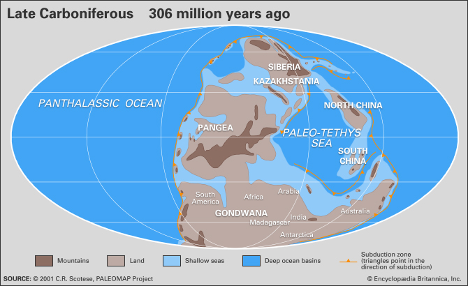 Pangea in the Carboniferous. Credit: C.R. Scotese, Paleomap project