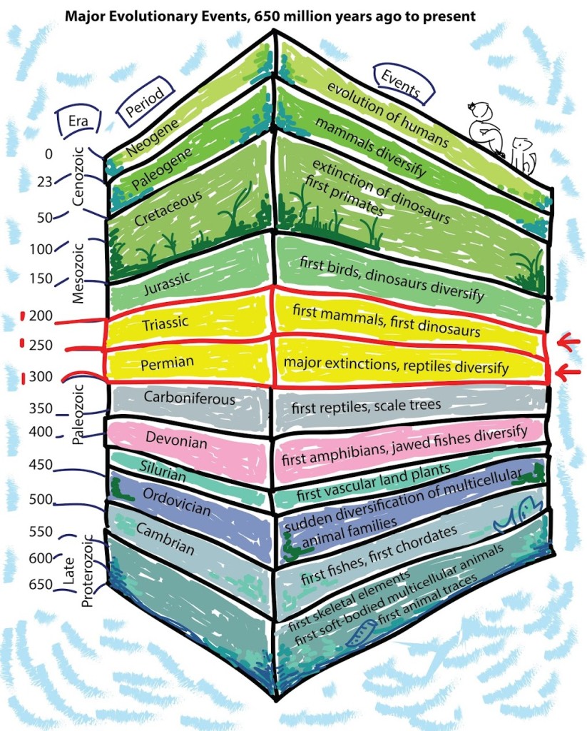 Where we are. Credit: Ita Mehrotra