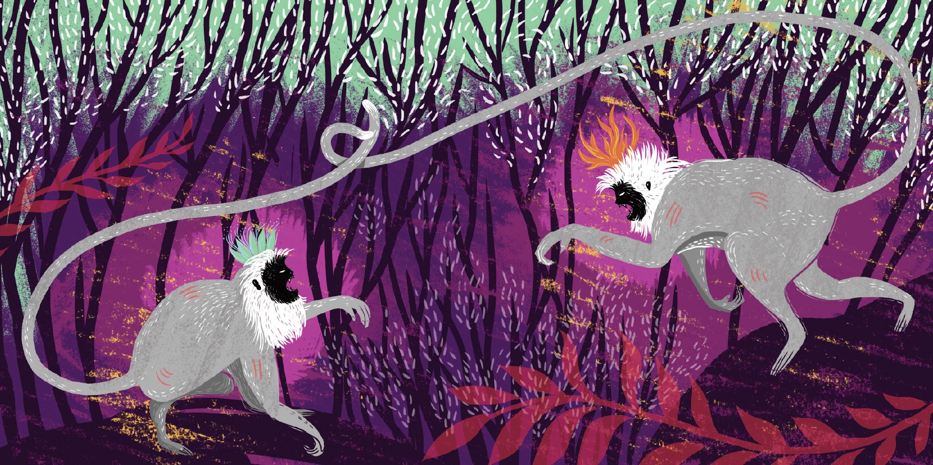 Illustration by Sonali Zohra.