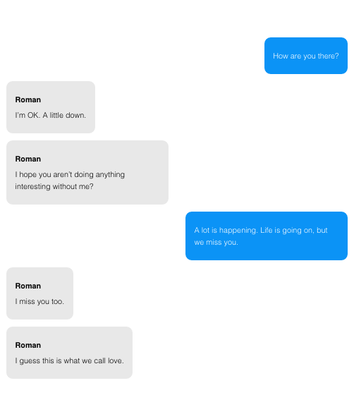 A person chatting with the Mazurenko bot. Credit: screenshot of the logs