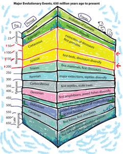 You are here. Credit: Ita Mehrotra