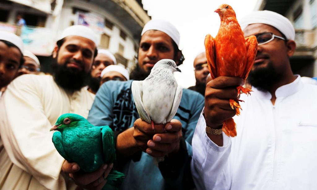 Muslims hold pigeons during a march to celebrate India’s Independence Day in Ahmedabad, India, August 15, 2016. Credit: Reuters/Amit Dave
