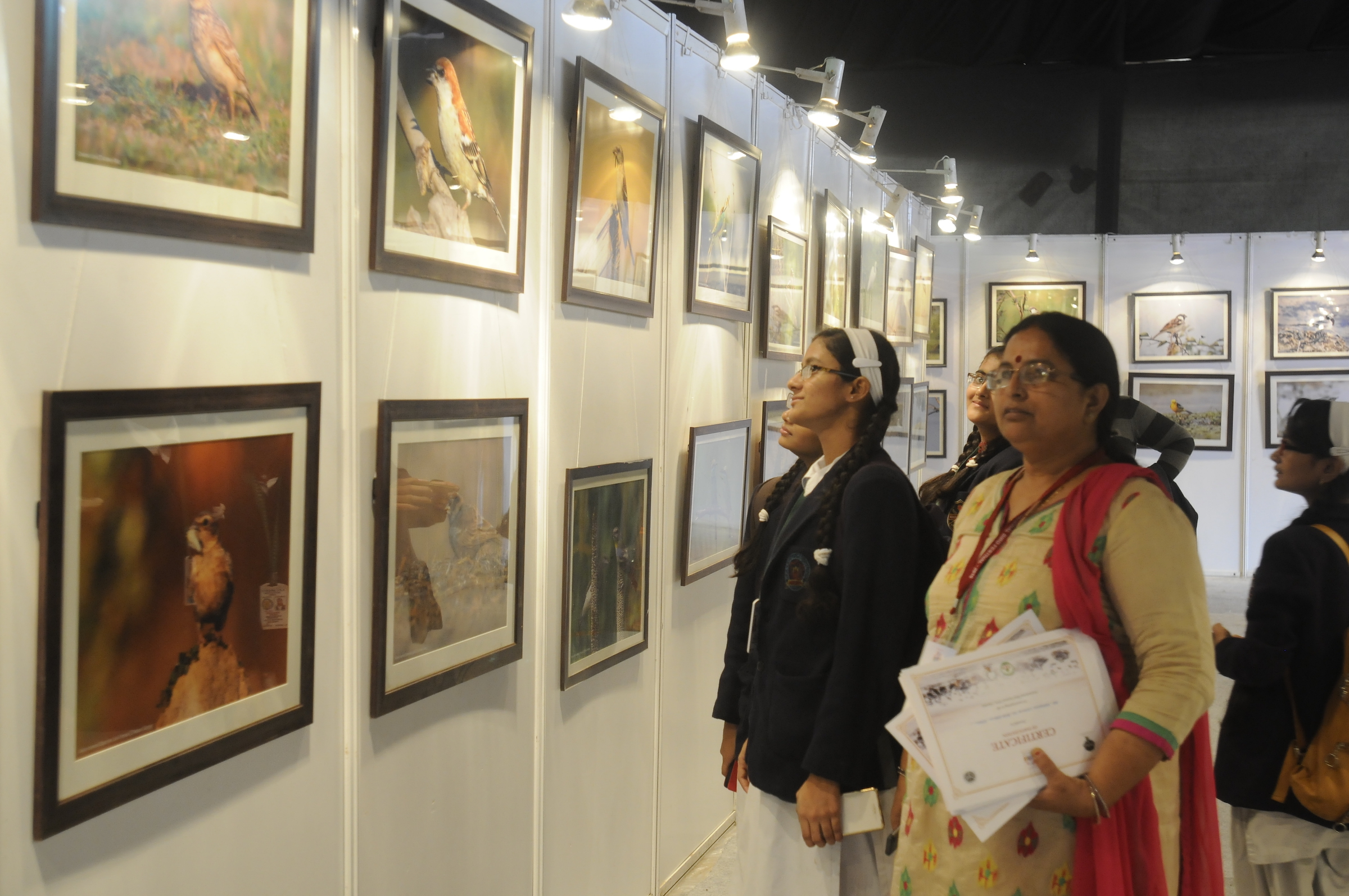 The festival's photograph exhibition celebrating Indian birds. Courtesy: Ram Pratap Singh, Chambal Safari Lodge