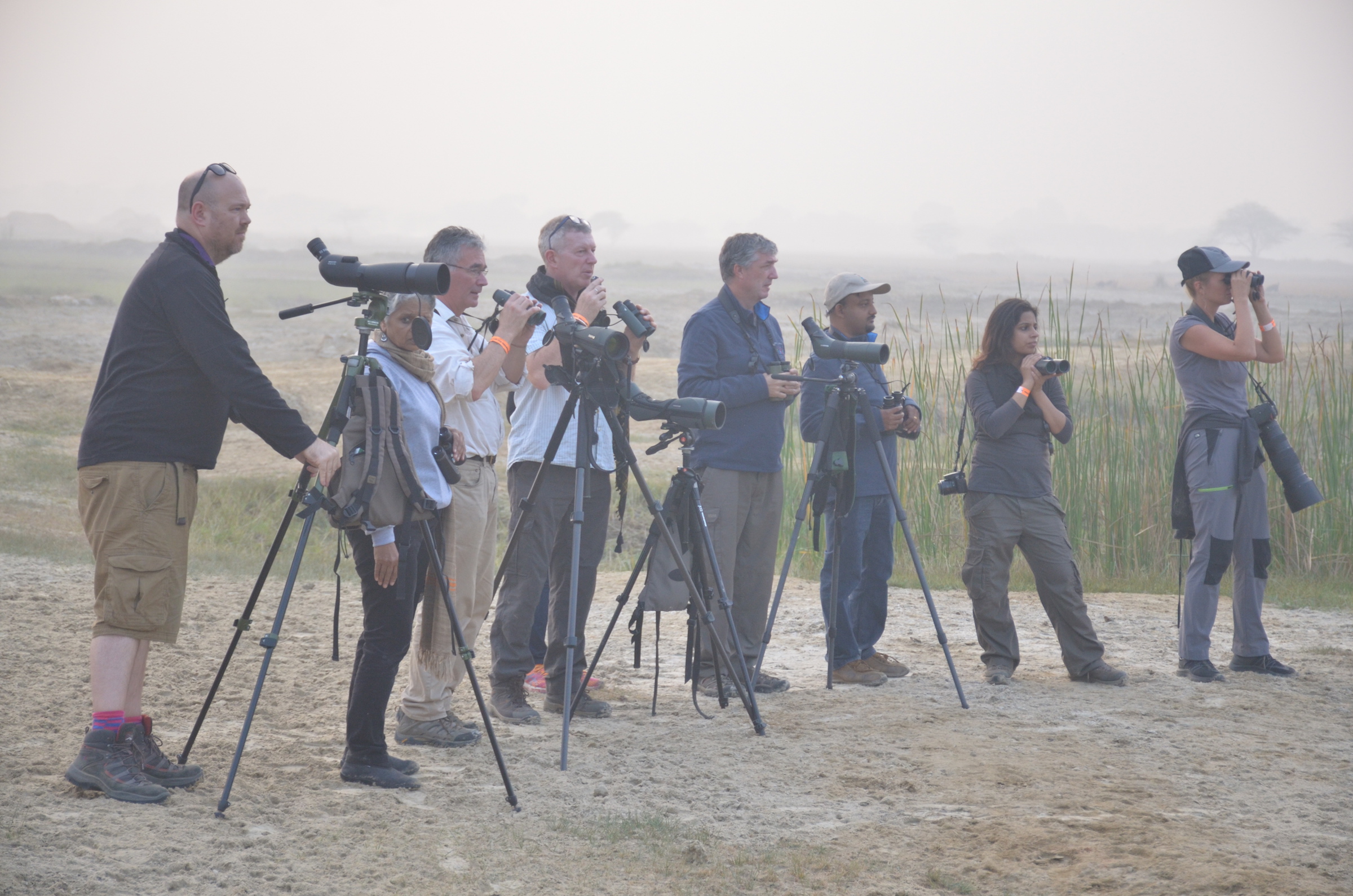 Birders in action on an afternoon field trip. Courtesy: Ram Pratap Singh, Chambal Safari Lodge