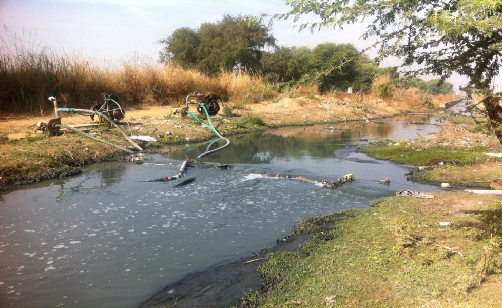 Engines pumping out polluted water from a feeder in Sanganer, Jaipur. Credit: Shruti Jain