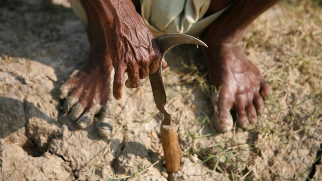 The budget this years needs to urgently address the deepening agrarian crisis in the country. Credit: Reuters/Files