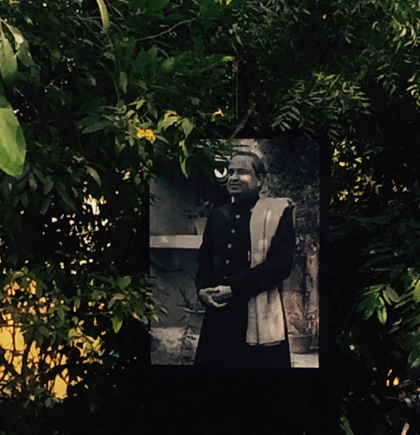 Black and white frames of Kumar Gandharva hung from the trees in Bhanukul's compound. Credit: Nikhil Inamdar