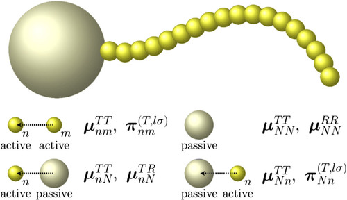 An image of the active particle that scientists from IIT Madras and Matscience modelled. Credit: The Journal of Chemical Physics 146, 024901 (2017)