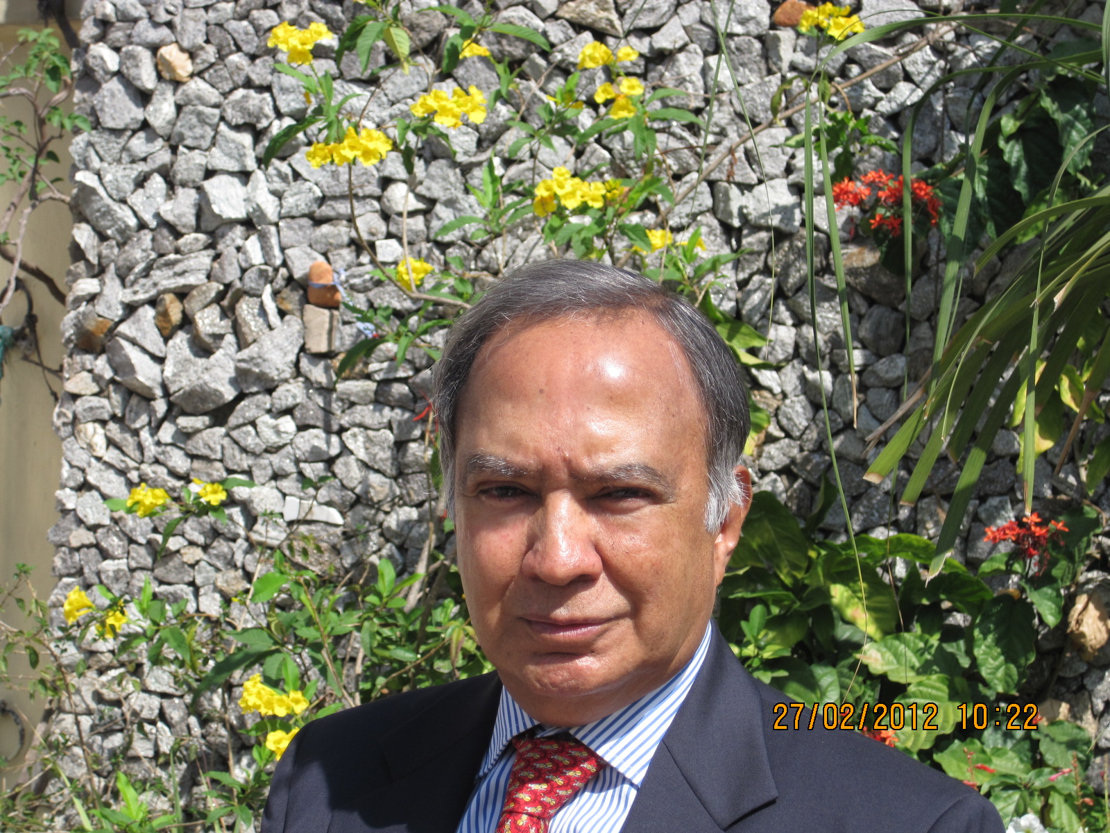 Krishnan Srinivasan. Credit: Wikimedia Commons