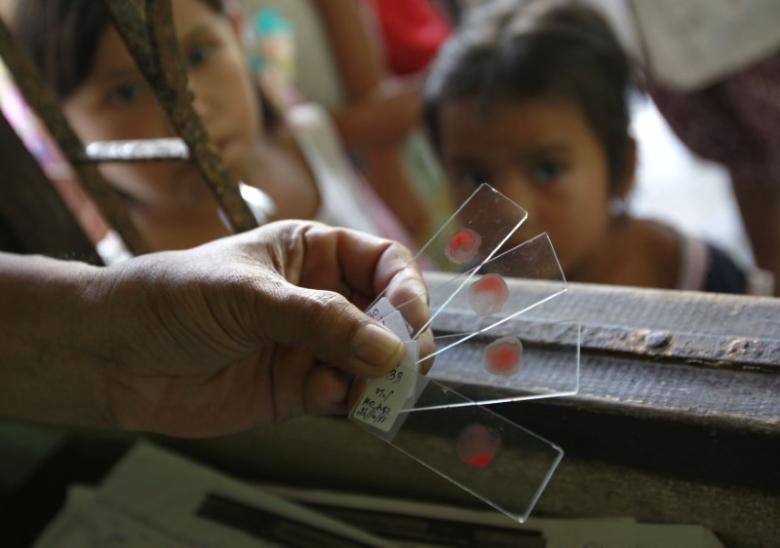 A Ministry of Public Health official holds blood test slides taken from children, who live in the Thai-Myanmar border, at a malaria clinic in the Sai Yoke district, Kanchanaburi Province October 26, 2012. REUTERS/Sukree Sukplang