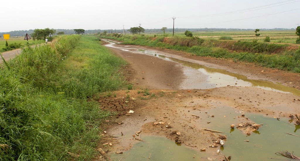 An almost dry canal at Pullu. Credit: S. Gopikrishna Warrier