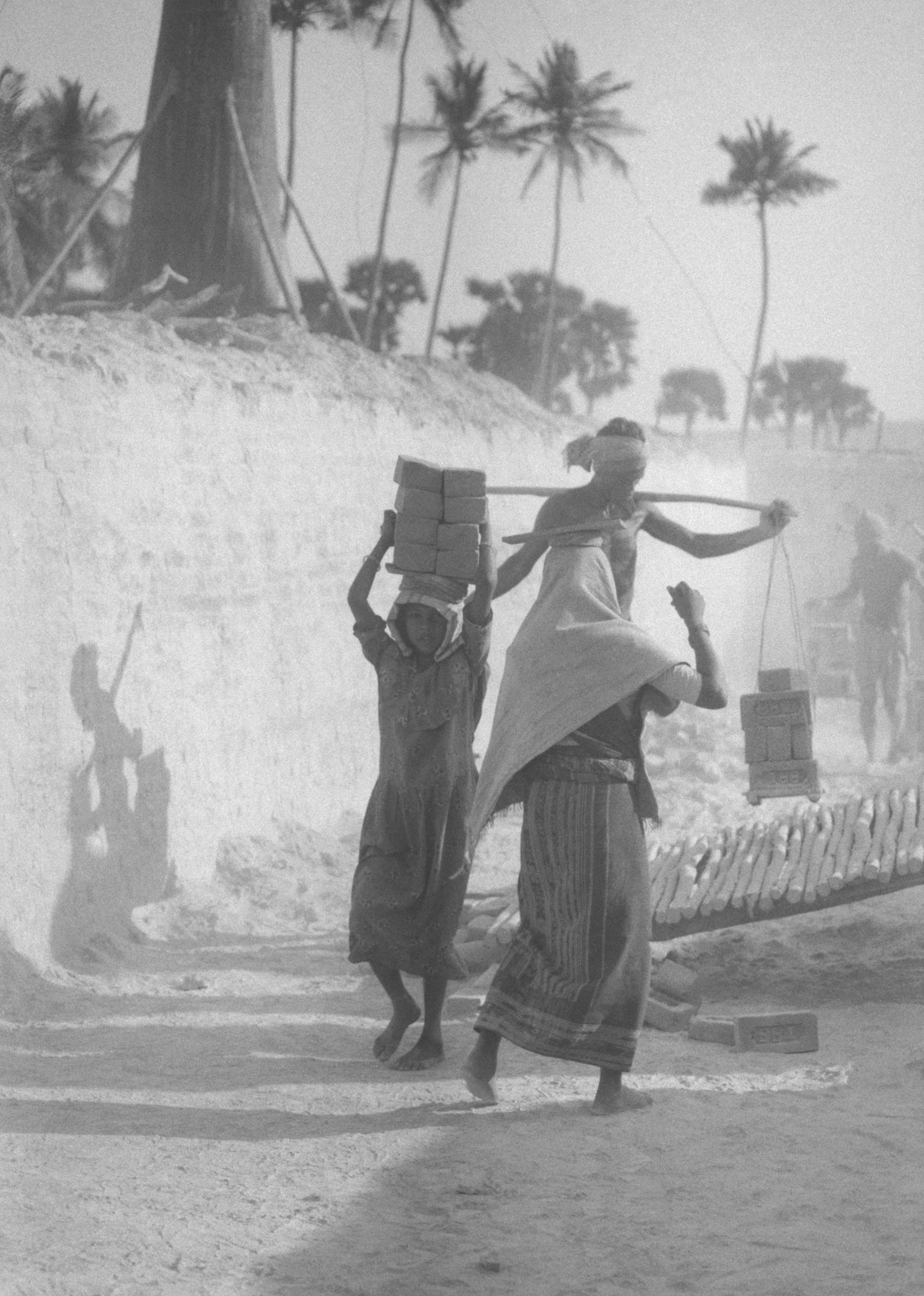 Credit: P. Sainath Credit: P. Sainath