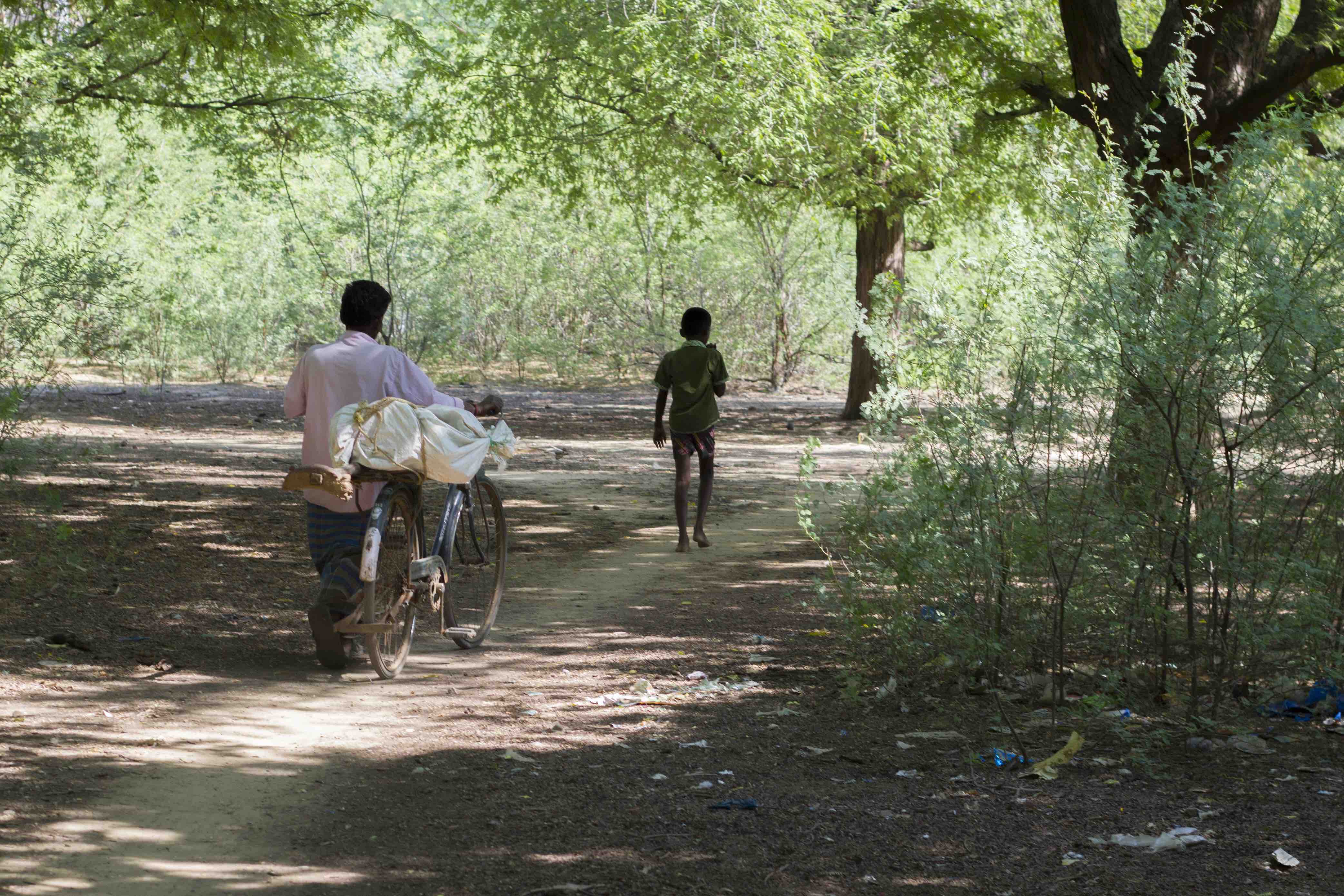 Nainar and his son walking to the trees. Credit: Kombai Arun