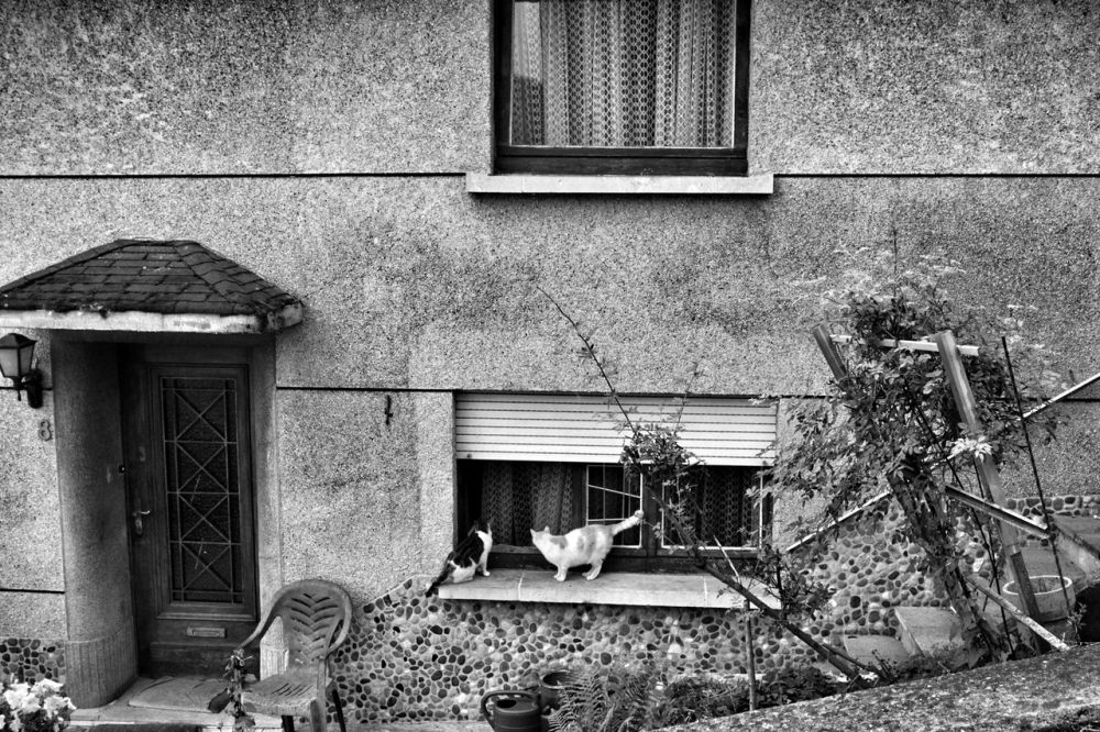 A village house in Schengen where there are hardly any humans, but instead cats are spotted. Credit: Shome Basu/The Wire