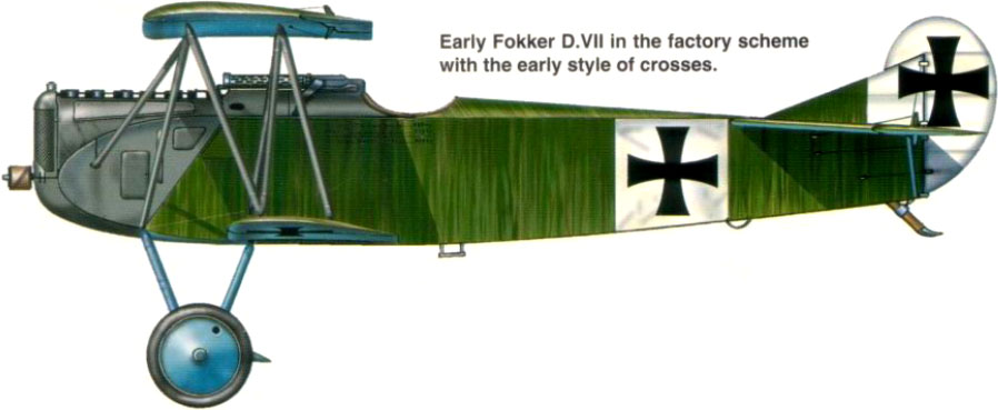 A Fokker DVII, three of which Roy shot down, and one of which probably shot him down. Credit: Wings Palette