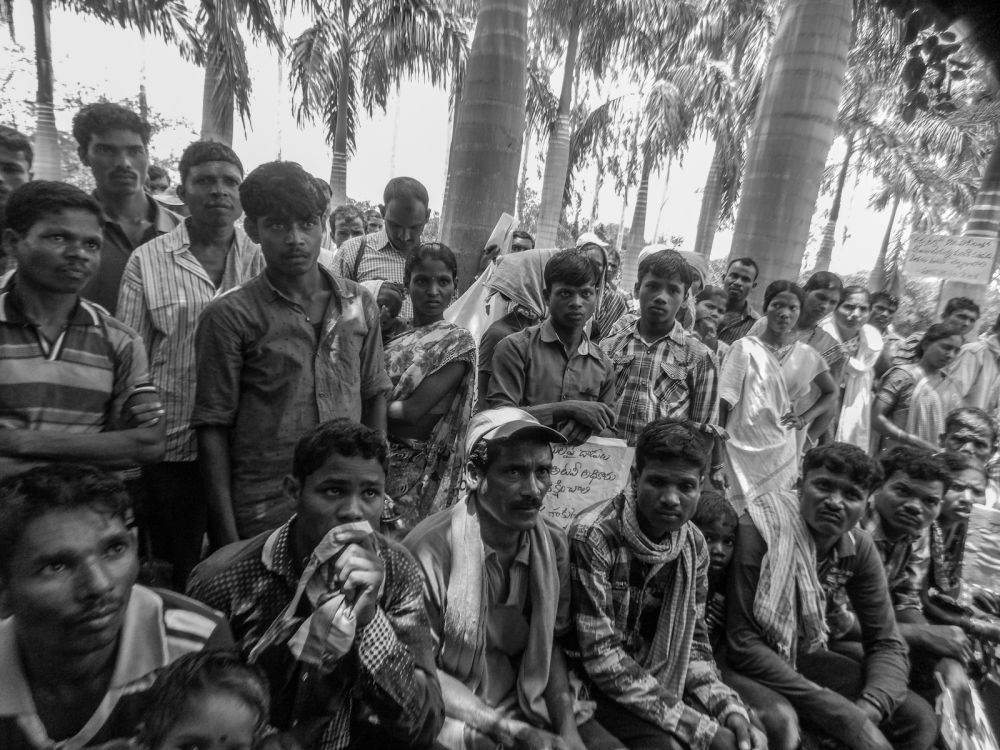 The Human Rights Forum submitted a memorandum stating: 'It is true that the IDPs clear some forest to sow paddy as their principal source of sustenance but that cannot be described under any stretch of imagination as extensive deforestation.' Credit: Human Rights Forum