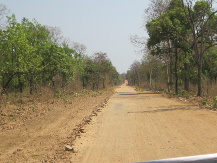 Road to Telangana, South Chhattisgarh. Credit: Madhu Ramnath