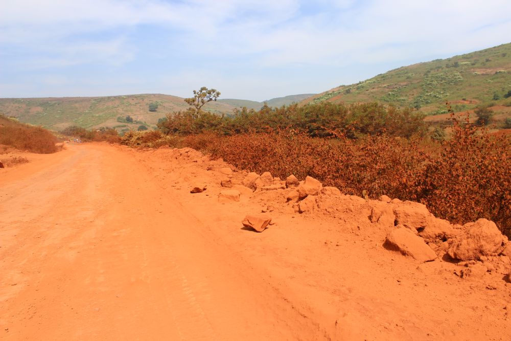 “The problem of dust increases during summer months. At this time, the heat is extreme. Wind blows day and night and brings dusts into our houses, onto our food plates. Company officials hardly get water to sprinkle on the road”, said Dhanurjaya Majhi, a local youth. Dust pollution due to ore transportation is affecting the vegetation cover. As per the mining regulations, water is to be sprinkled on roads to prevent spreading of dust. However, this sprinkling was not as frequent as required and did not effectively prevent dust. Credit: Abhijit Mohanty