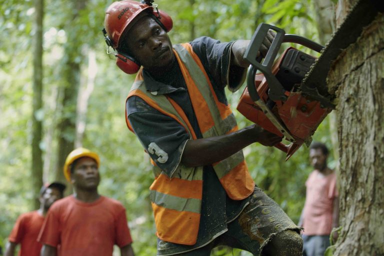 Workers harvesting timber in Tavolo, an FSC-certified community forest management area in New Britain, Papua New Guinea. Credit: Greenpeace/John Novis