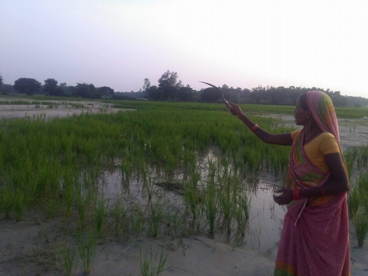 A farmer in Saptari pointing to her flood-damaged land. Credit: Bhola Paswan