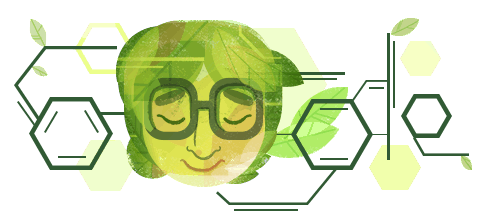 A Google doodle celebrates Asima Chatterjee's contributions to chemistry on her birth centenary