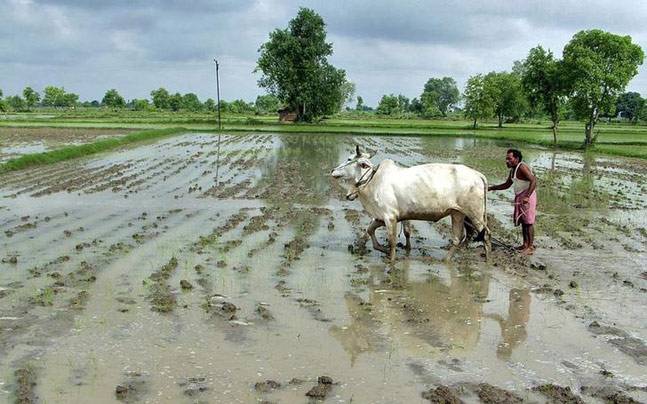 The overall thrust of the government's policies should be towards minimising the costs borne by farmers by helping them become self-reliant, not just at an individual but at a wider community level. Credit: Reuters