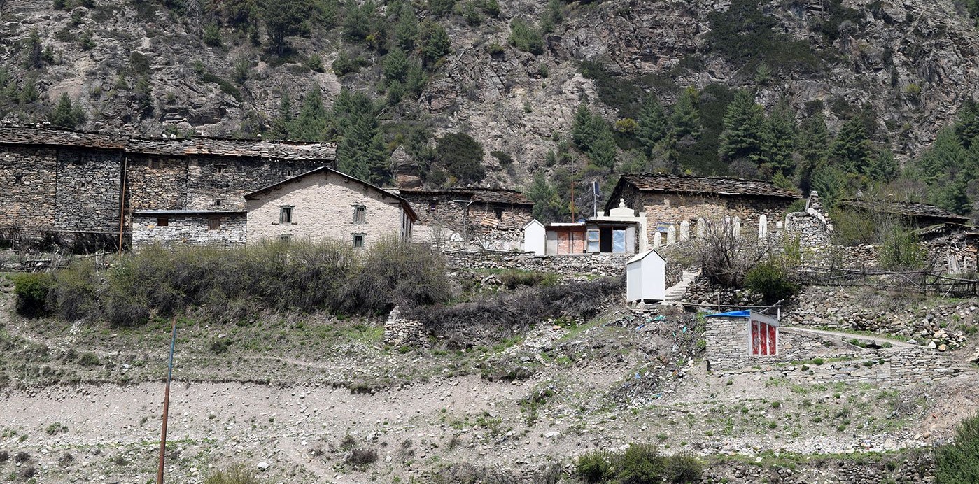 Gunji. Credit: Author provided