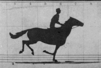 'The Horse in Motion' by Eadweard Muybridge. Credit: Wikimedia Commons