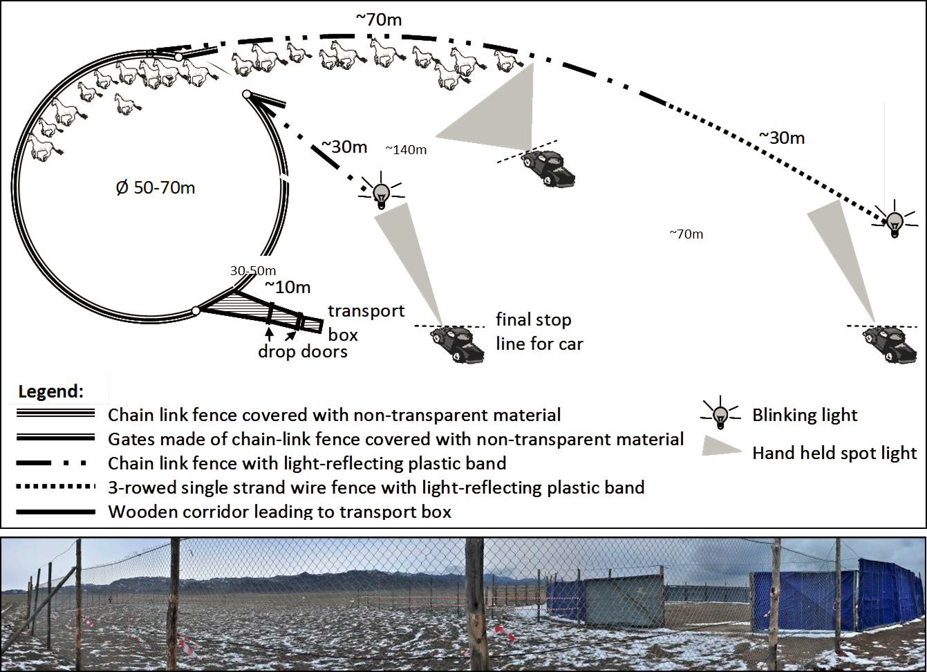 A schematic diagram showing the capture corral design. Credit: NINA