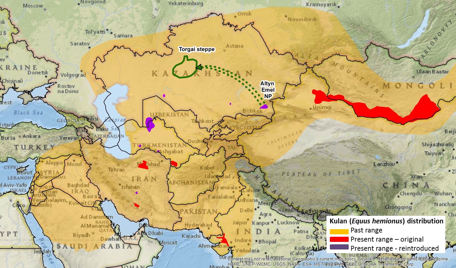 The green arrow shows the relocation effort of the kulan from Altyn Emel to the Torgai steppe. Credit: NINA