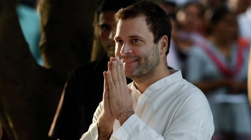 Congress president elect Rahul Gandhi. Credit: PTI