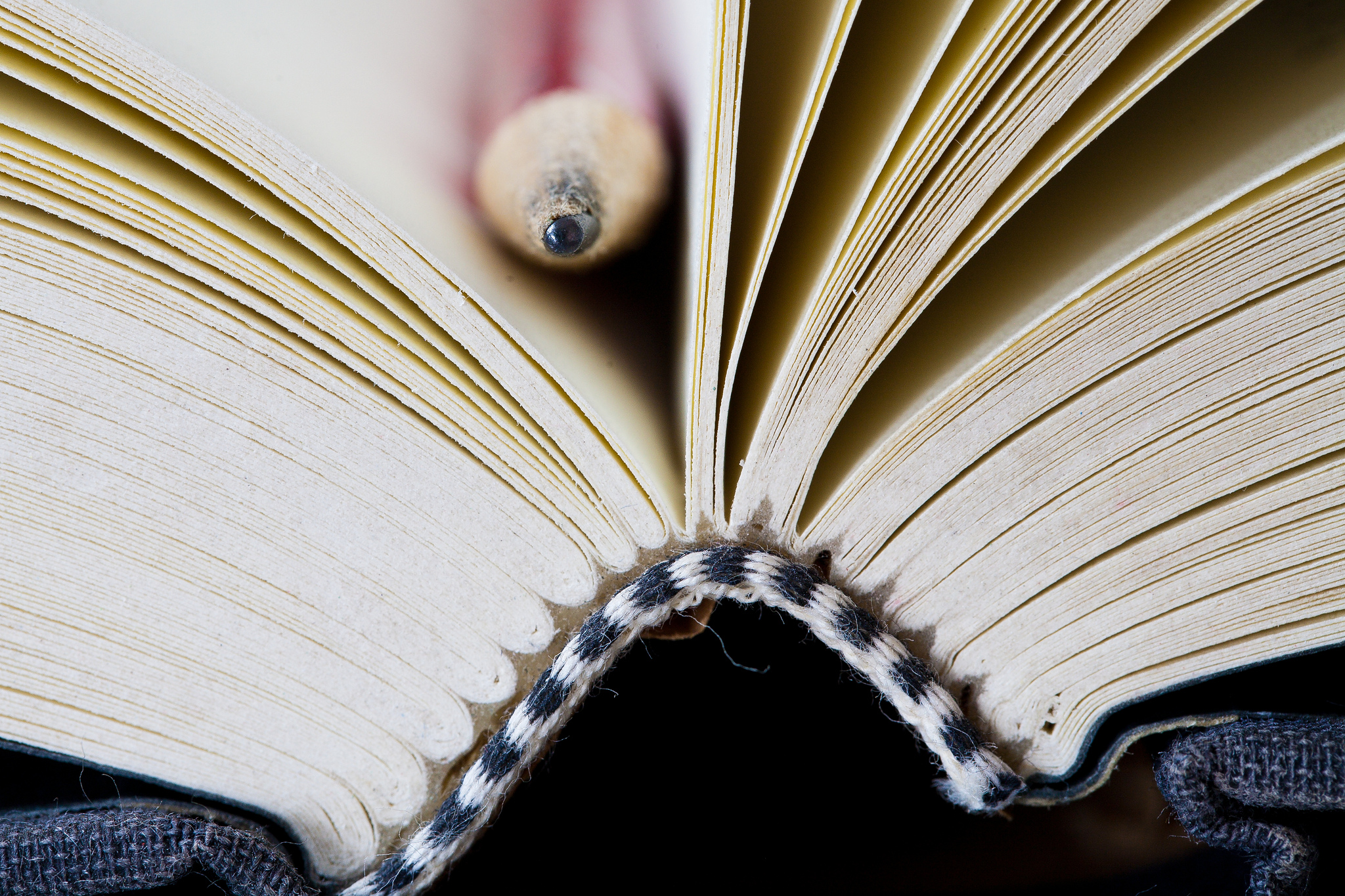 how universities can avoid plagiarism