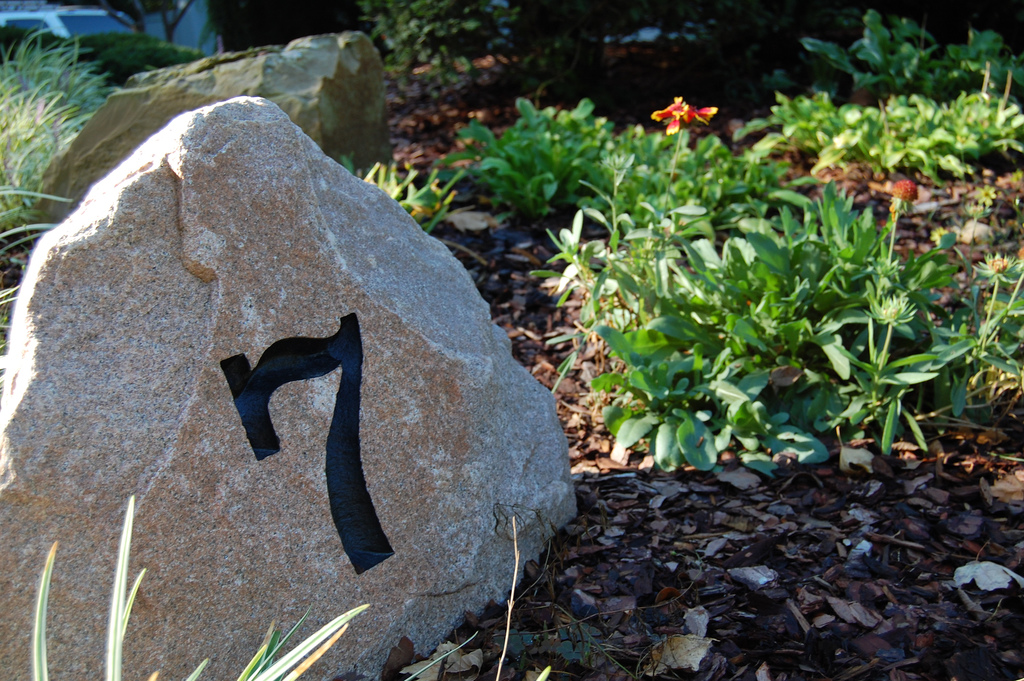 the 22 million digit number and the amazing math behind primes