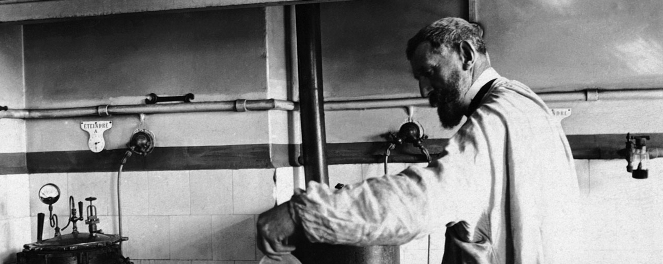 crosstalk  when an apple fell on newton’s head  and stories on the process of discovery