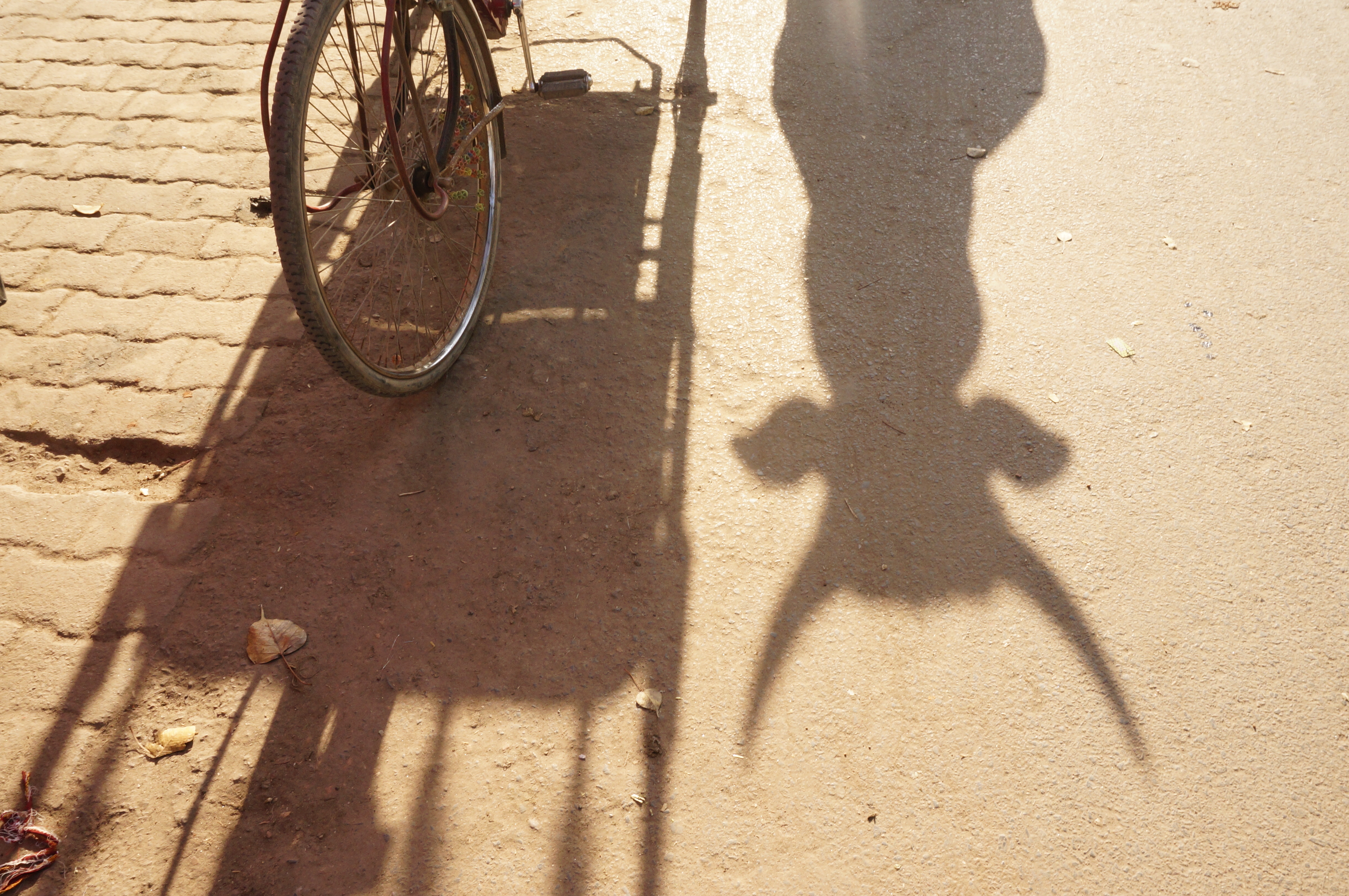 muslim residents fearful after gurgaon police make first  beef  arrests