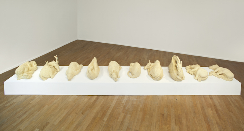 jitish kallat s observations span the everyday and the cosmos