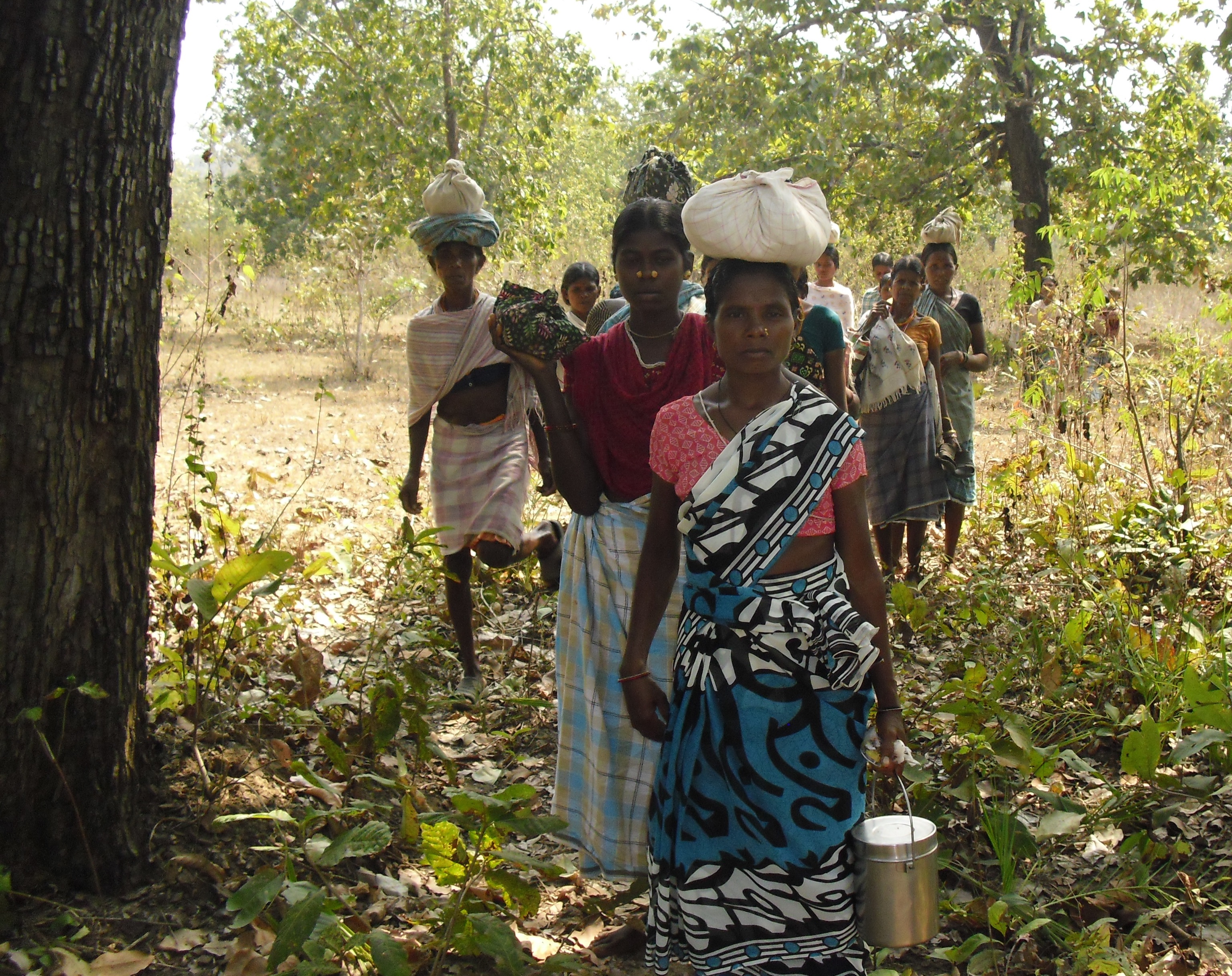 chhattisgarh govt  cancels tribal rights over forests to facilitiate coal mining