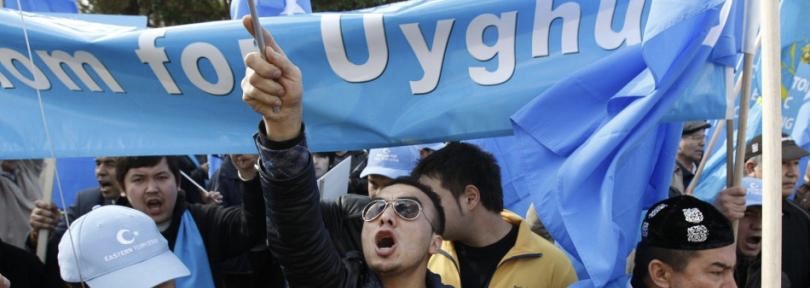 india has a responsibility to teach china democracy  says dolkun isa