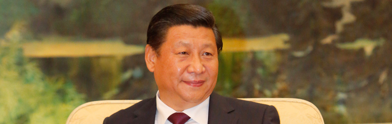 an anonymous comrade trolls xi jinping  reminds china that a hundred flowers are not blooming