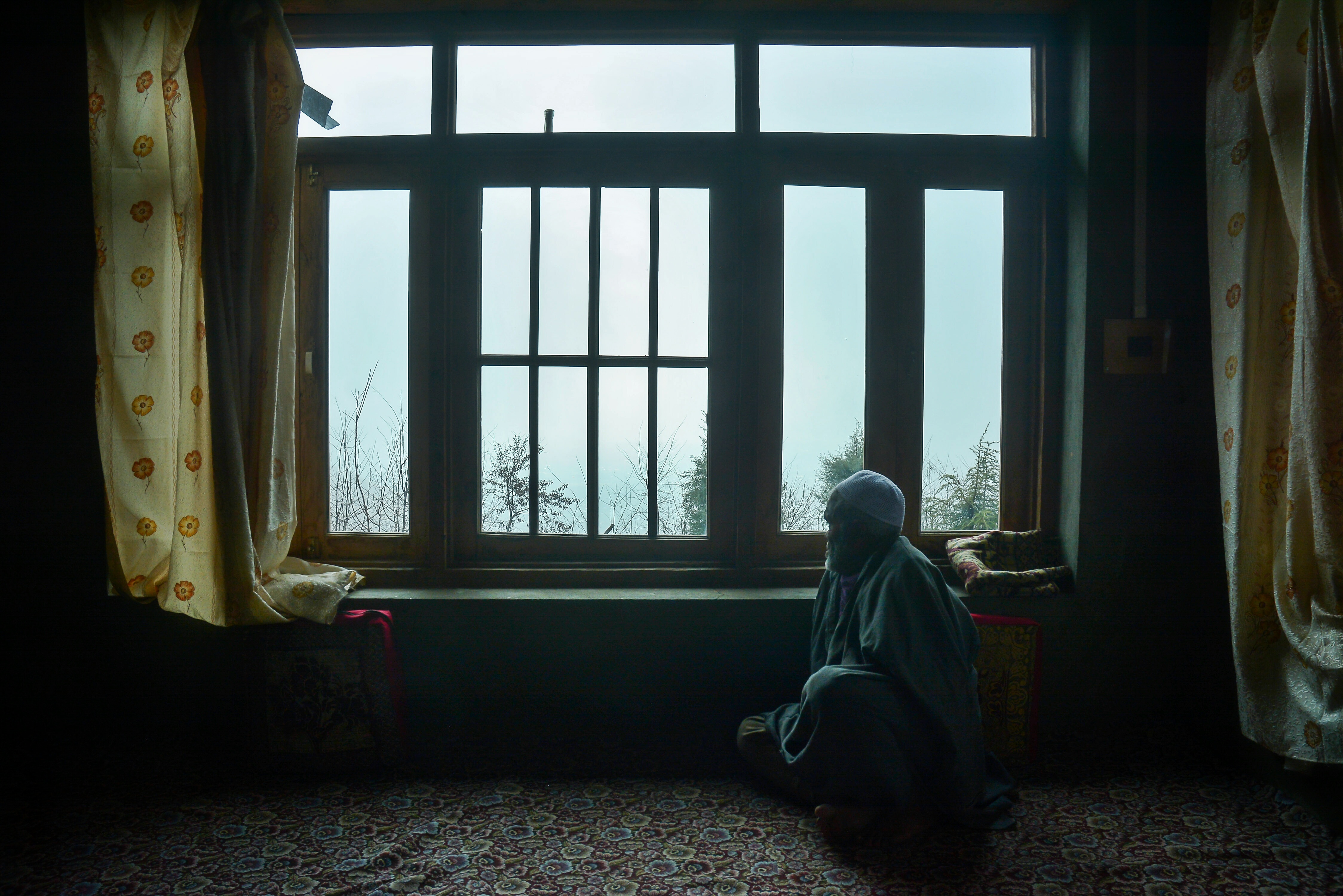 territorial conflict is growing between humans and wildlife in kashmir