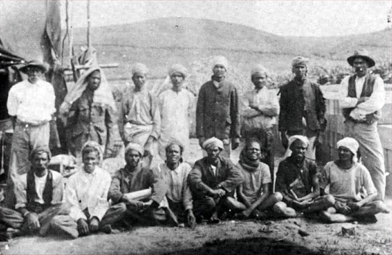 when india proposed a casteist solution to south africa s racist problem