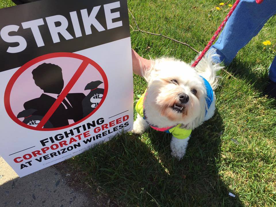 the life of labour  hindustan motors workers to boycott bengal polls  39000 verizon workers on strike