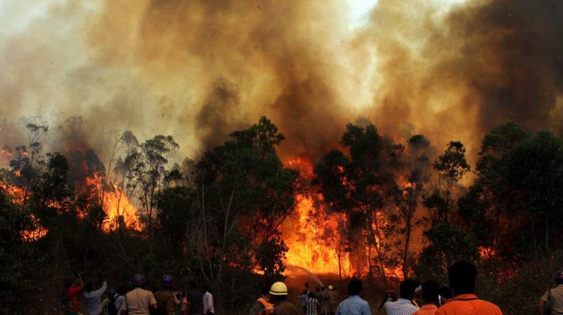 raging fires in the  holy  forests of chitrakoot